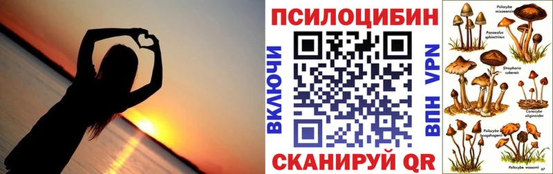 Галлюциногенные грибы мухоморы  магазин  наркотиков  Петровск 